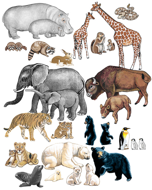 Wild Animals
