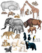 Wild Animals