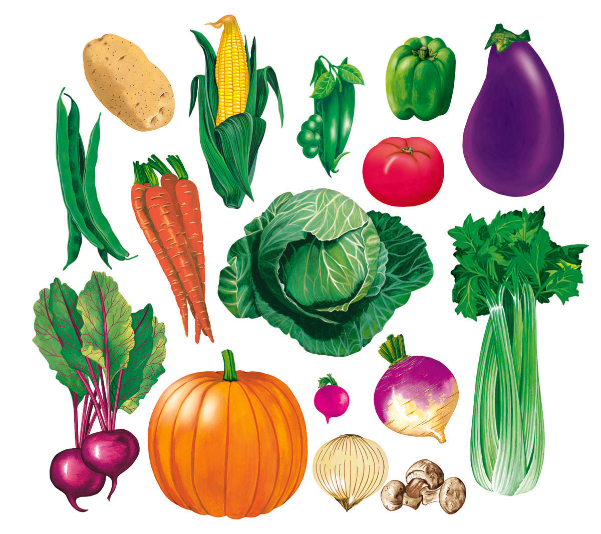 Vegetables