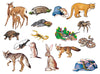 Desert Animals