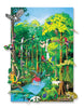 Rain Forest Animals