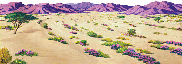 Desert