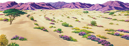 Desert